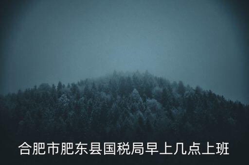 安徽國稅什么時(shí)候上班時(shí)間，國稅局的上班時(shí)間
