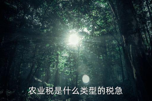 農(nóng)業(yè)稅屬于什么稅種，農(nóng)業(yè)稅就是人口稅嗎