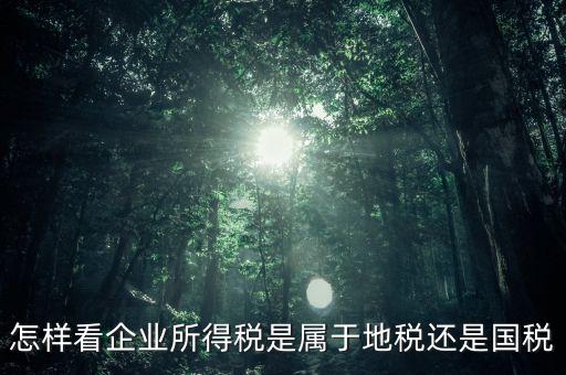 所得稅屬于什么稅，所得稅包括什么稅
