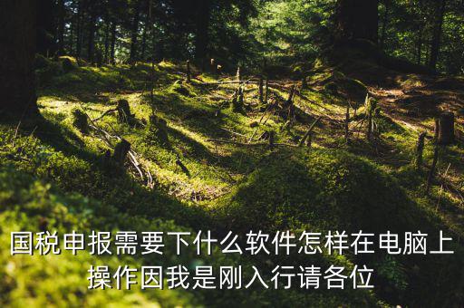 寶雞國稅用的什么軟件報(bào)稅，寶雞報(bào)稅怎么報(bào)