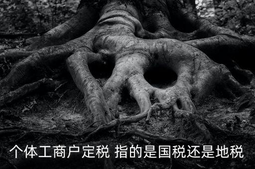 個(gè)體戶(hù)定稅是什么意思，疑難國(guó)稅個(gè)體戶(hù)定稅