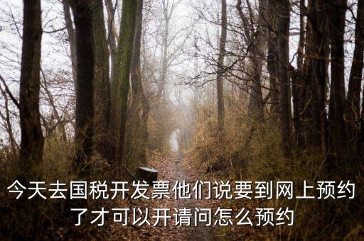國(guó)稅預(yù)約的是什么，拿金稅盤去國(guó)稅前臺(tái)弄要預(yù)約嗎