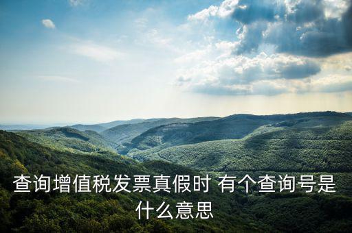 陜西省發(fā)票查詢號是什么意思，電子發(fā)票號碼是什么意思