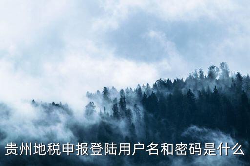 地稅登錄名密碼是什么意思，地稅申報的用戶名和密碼是什么