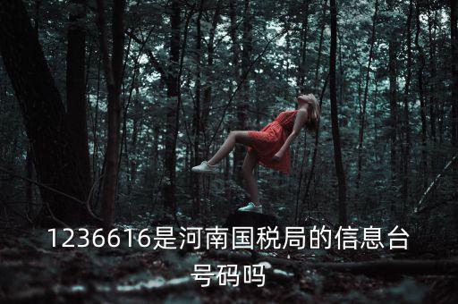 河南省國家稅務(wù)局賬號(hào)是什么，登錄國稅網(wǎng)上辦稅服務(wù)廳的用戶名和密碼是什么