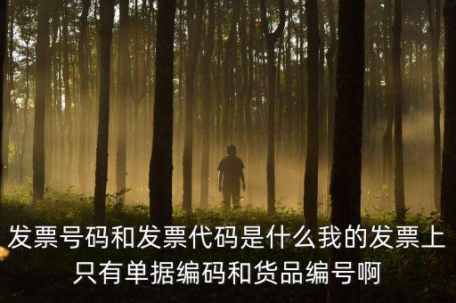 專(zhuān)用發(fā)票號(hào)碼是什么意思，發(fā)票號(hào)碼是什么意思