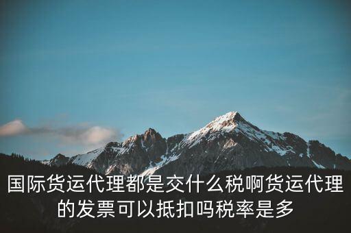 貨代公司交什么稅，國際貨運(yùn)代理都是交什么稅啊貨運(yùn)代理的發(fā)票可以抵扣嗎稅率是多
