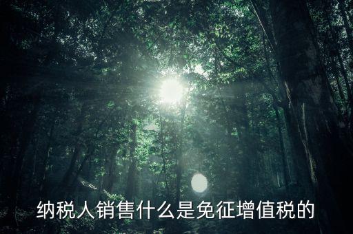 什么免征增值稅，哪些屬于免征增值稅