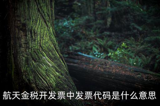 增值稅的航天編碼是什么，航天金稅 自動(dòng)開票 怎么獲取 發(fā)票代碼 發(fā)票號(hào)碼