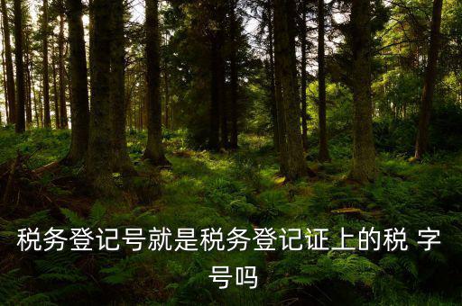稅務(wù)登記證是什么字體，稅務(wù)登記證上的這是什么字體