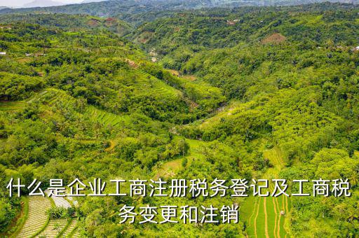 登記稅務(wù)是什么，什么是納稅人稅務(wù)登記名稱