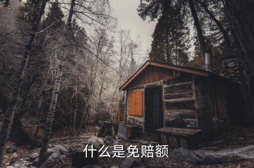 什么是免抵調(diào)庫，什么叫保險理賠免調(diào)查件