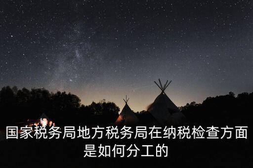 地方稅務(wù)局一案雙查是什么意思，國稅局一二稽查大隊是何意思