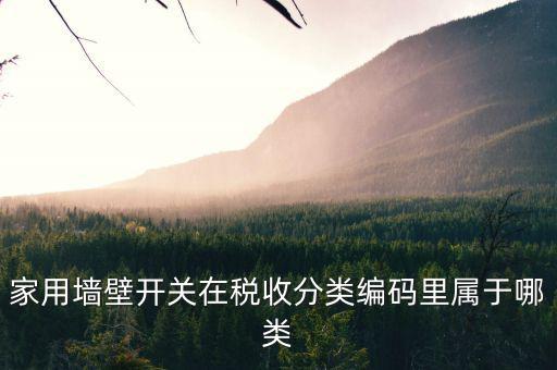 家用墻壁開(kāi)關(guān)在稅收分類編碼里屬于哪類