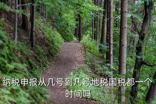 納稅申報(bào)從幾號(hào)到幾號(hào)地稅國(guó)稅都一個(gè)時(shí)間嗎