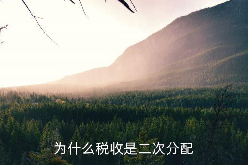 稅務(wù)雙公示是什么意思，為什么稅收是二次分配
