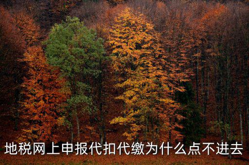 地稅從租計征為什么無法點(diǎn)開，地稅網(wǎng)上申報代扣代繳為什么點(diǎn)不進(jìn)去
