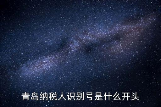 納稅人識(shí)別號(hào)什么開頭，納稅人識(shí)別號(hào)330100開頭的是哪個(gè)地方的
