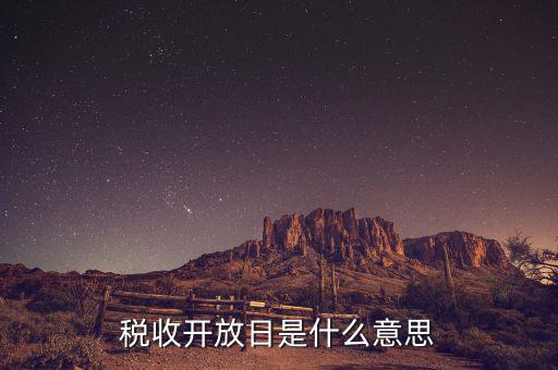 國(guó)稅開放日是什么意思，稅收開放日是什么意思