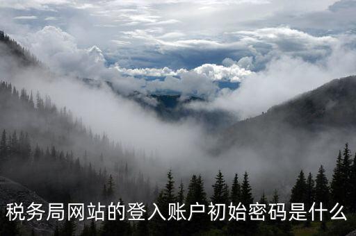 廣東國稅網(wǎng)登錄密碼是什么意思，稅務(wù)局網(wǎng)站的登入賬戶初始密碼是什么
