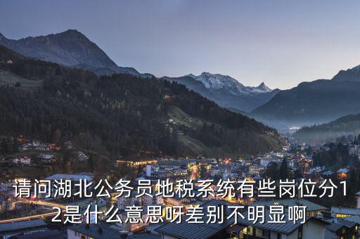 地稅上線是什么意思，0801國稅地稅啥意思