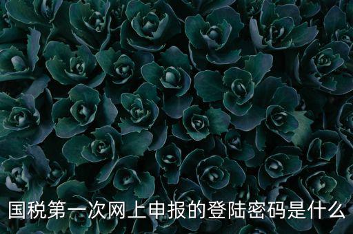 國稅第一次網上申報的登陸密碼是什么