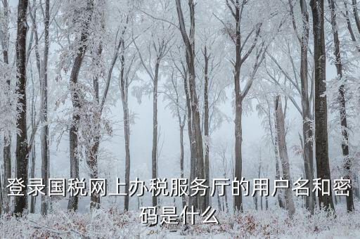 什么是電子稅務(wù)局登錄賬號，登錄國稅網(wǎng)上辦稅服務(wù)廳的用戶名和密碼是什么