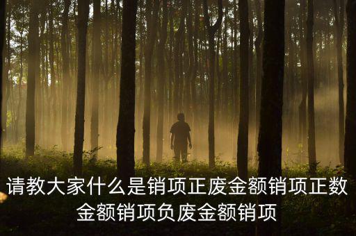 請教大家什么是銷項正廢金額銷項正數(shù)金額銷項負(fù)廢金額銷項