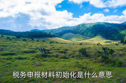 地稅初始化文件是什么意思，稅務(wù)申報材料初始化是什么意思