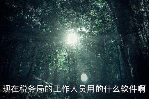 現(xiàn)在稅務局的工作人員用的什么軟件啊