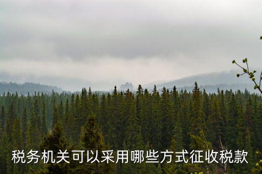 稅務(wù)局按什么征收稅務(wù)，稅務(wù)機(jī)關(guān)可以采用哪些方式征收稅款