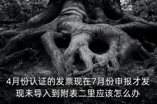 國(guó)稅已申報(bào)未導(dǎo)入是什么意思，小姑規(guī)模納稅人申報(bào)后出現(xiàn)已申報(bào)等待導(dǎo)入是什么意思