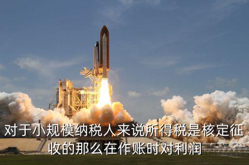 核定征收 有什么利，我不知道核定征收與查賬征收那個對公司有利些