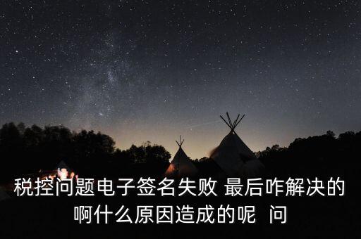 什么是稅控簽名，報(bào)稅時(shí)數(shù)字簽名是甚么意思