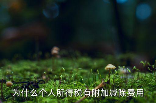 個稅減除費用是什么，個人所得稅費用扣除什么意思