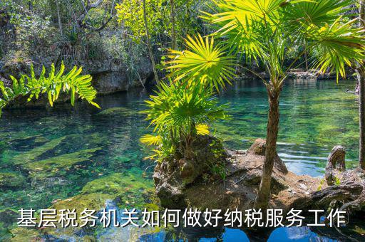 納稅服務(wù)是指什么，納稅服務(wù)的三個(gè)主體是什么