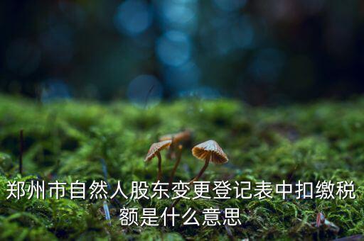 扣繳稅款登記是什么意思，應(yīng)當(dāng)按照稅收征管法等有關(guān)規(guī)定辦理扣繳稅款登記領(lǐng)取扣繳憑