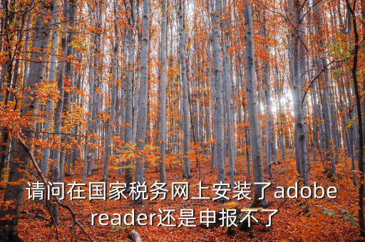 請問在國家稅務(wù)網(wǎng)上安裝了adobe reader還是申報(bào)不了