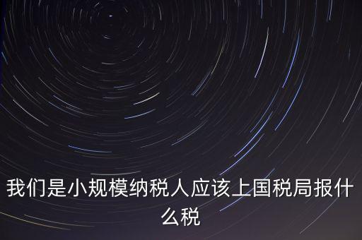 小規(guī)模要報什么稅，我想問問小規(guī)模納稅人報稅需要報些什么