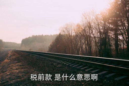 什么是稅前項(xiàng)目費(fèi)，稅前款 是什么意思啊
