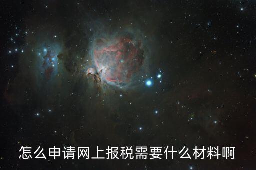 怎么申請網上報稅需要什么材料啊