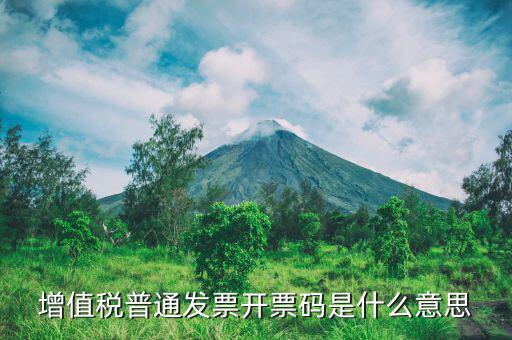 增值稅普通發(fā)票開(kāi)票碼是什么意思