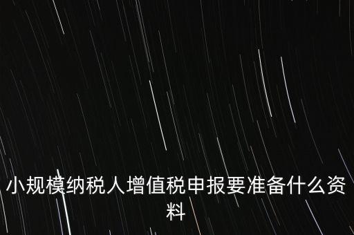小規(guī)模報稅需要帶什么，小規(guī)模納稅人增值稅申報要準(zhǔn)備什么資料