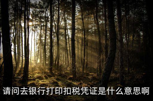 稅收憑證是什么，什么是完稅憑證啊
