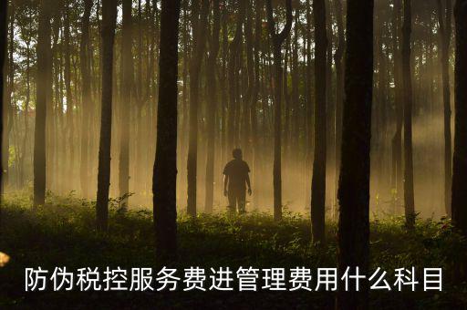 防偽稅控服務(wù)費(fèi)是什么意思，繳納電子鑰匙的年費(fèi)是防偽稅控服務(wù)費(fèi)嗎