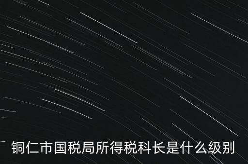 地稅局股長是什么級別，地稅里的職位 股長是什么級別