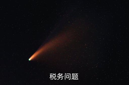 稅務問題