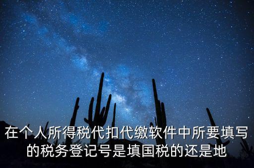 在個(gè)人所得稅代扣代繳軟件中所要填寫的稅務(wù)登記號是填國稅的還是地