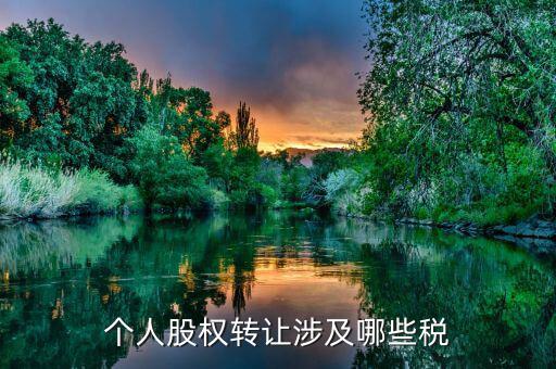 個人股權轉讓都涉及什么稅，法人股東股權轉讓分別涉及哪些稅種