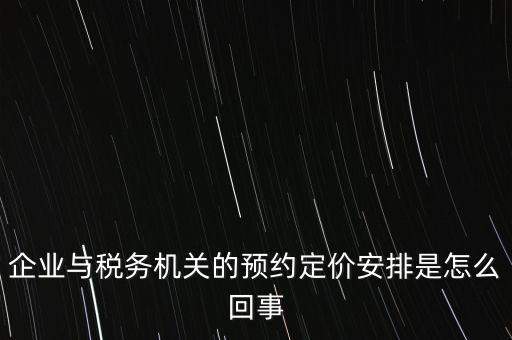 125執(zhí)行預(yù)約定價(jià)安排是什么意思，125是什么意思